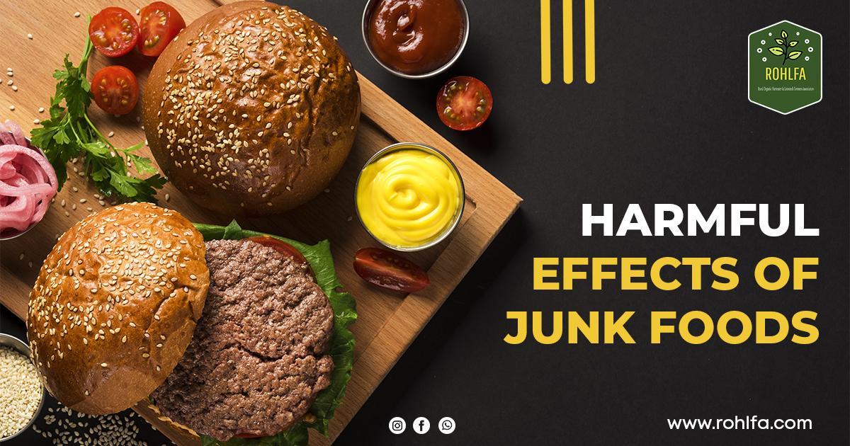 12 Harmful Effects of Junk food