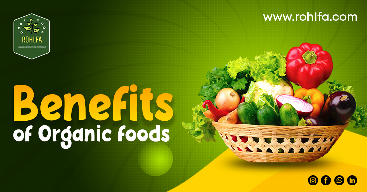 5 Benefits of Organic foods 2023