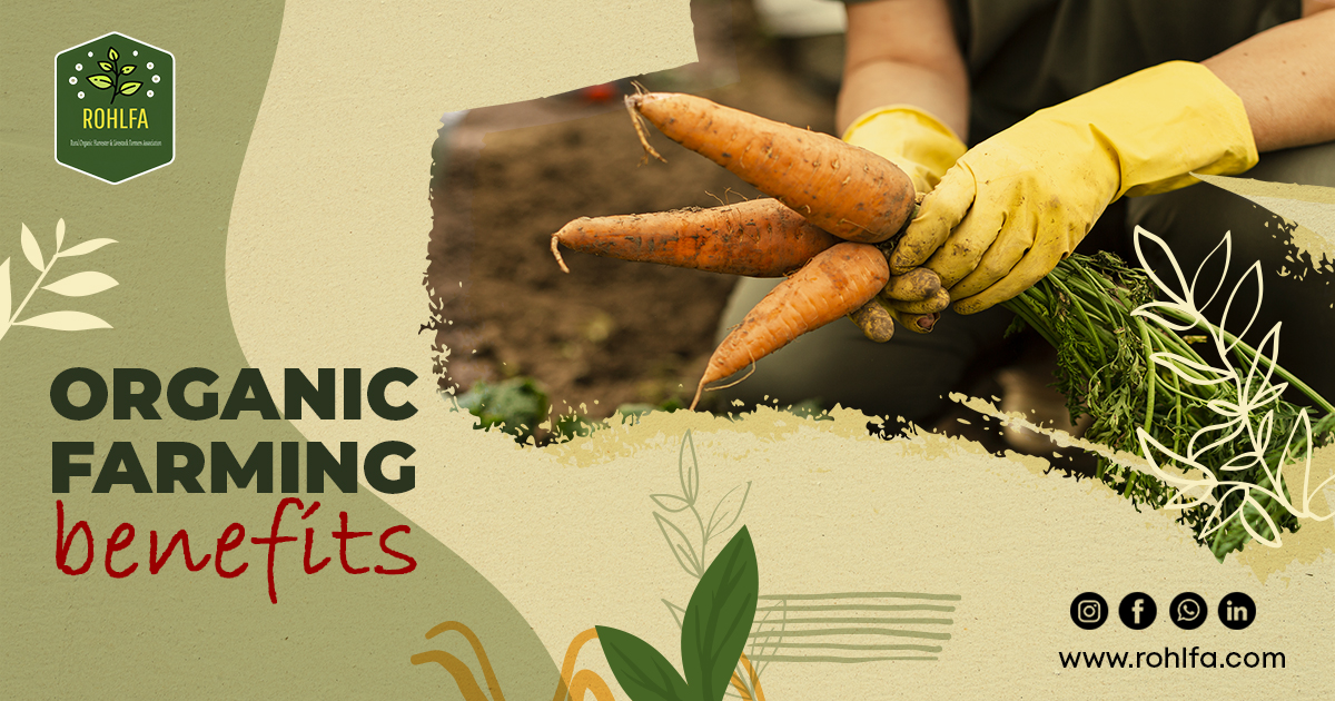 Benefits of organic farming in India