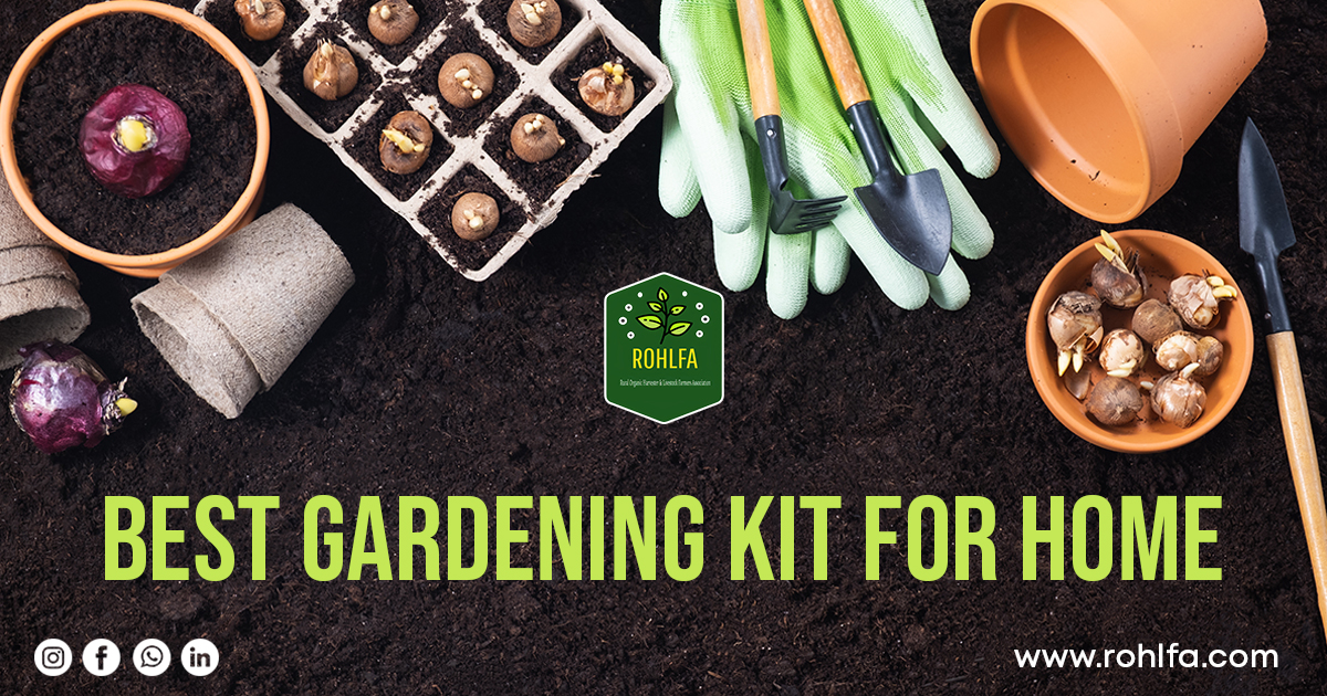 Best Gardening Kit for Home