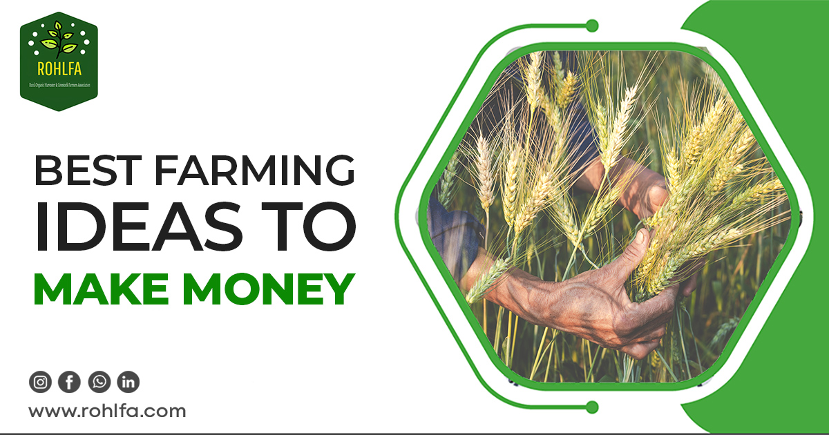 Best Farming Ideas to Make money