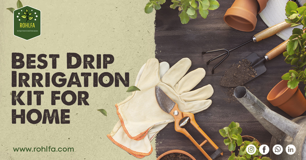 Best Drip Irrigation Kits For Home
