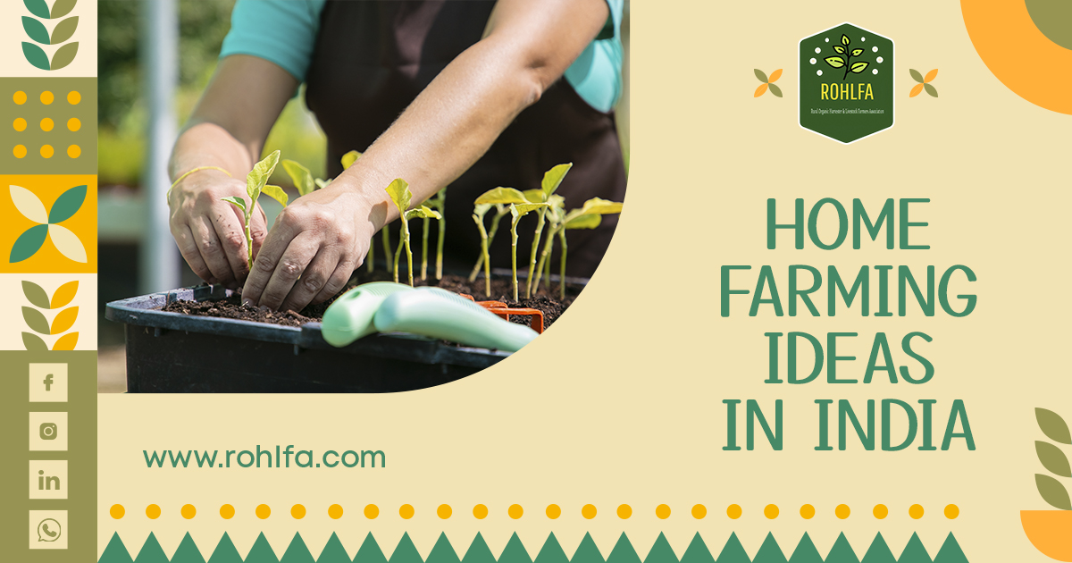 Home farming Ideas in India 2023