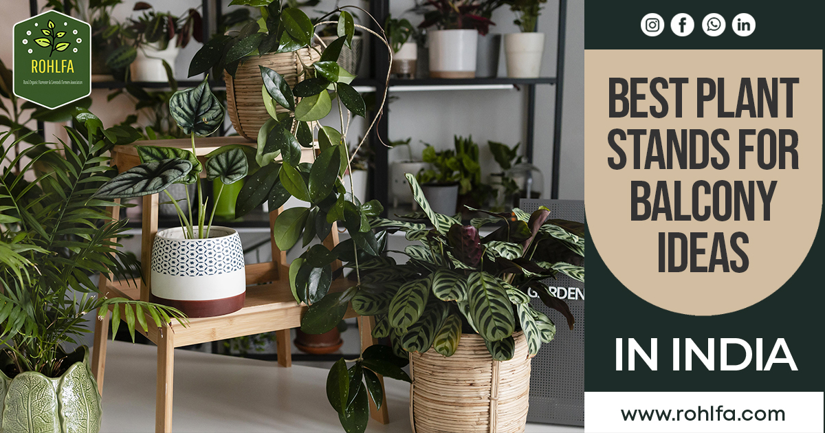 Best Plant Stands For Balcony Ideas in India