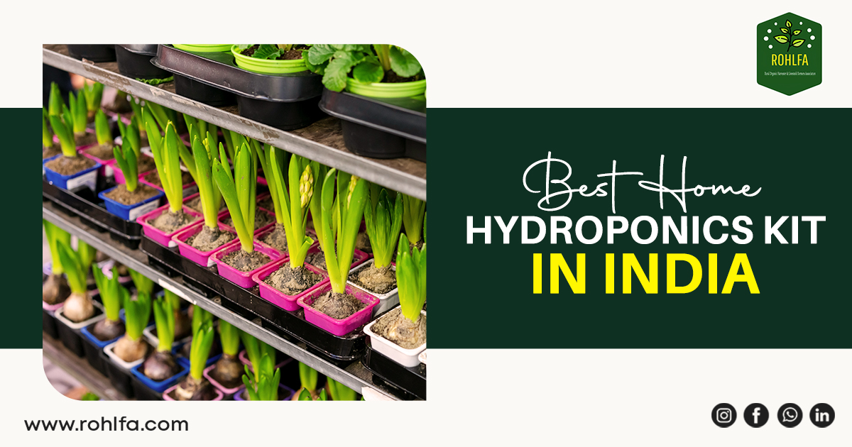 Best Home Hydroponics Kit In India