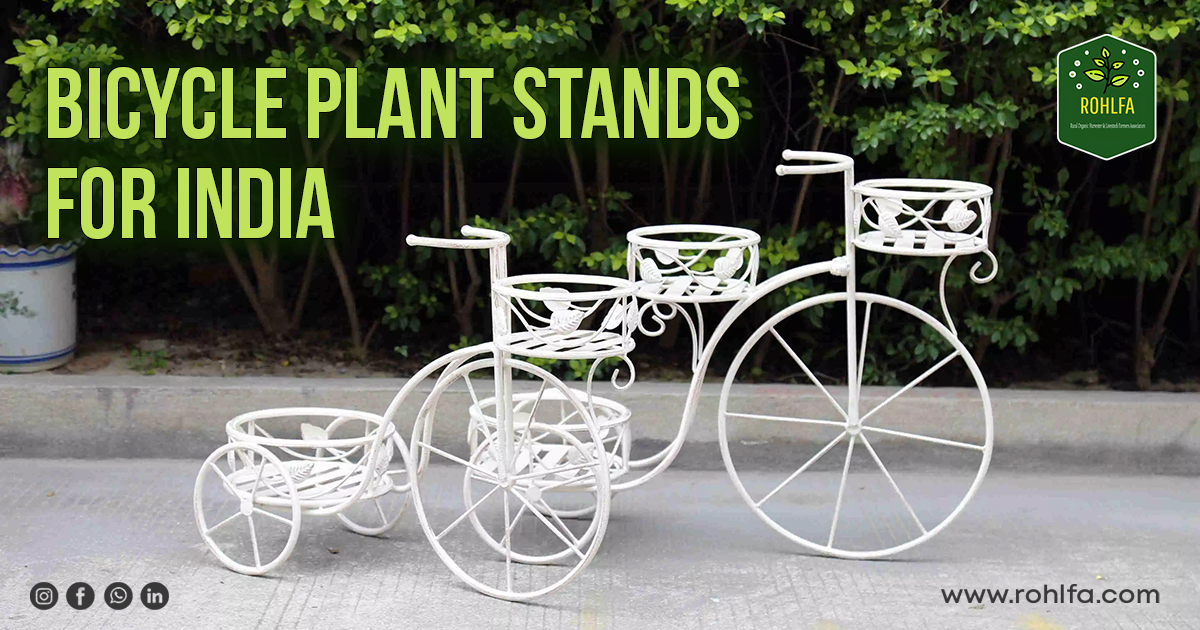 Bicycle Plant Stands in India