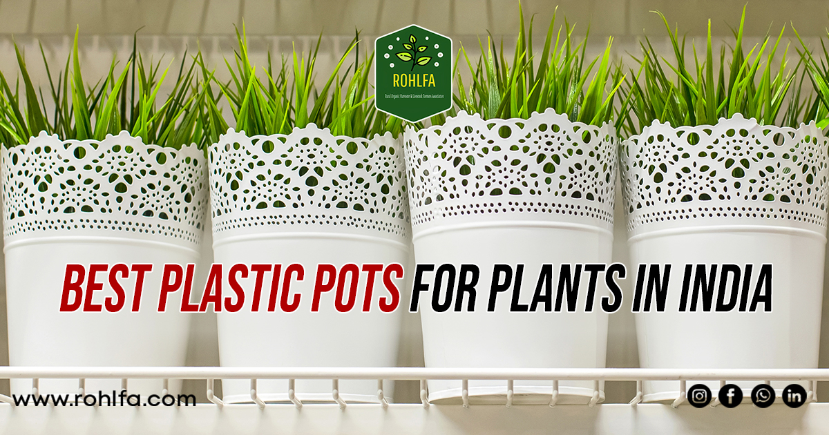 Best Plastic Pots For Plants In India