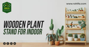Best Wooden Plants Stands for Indoor