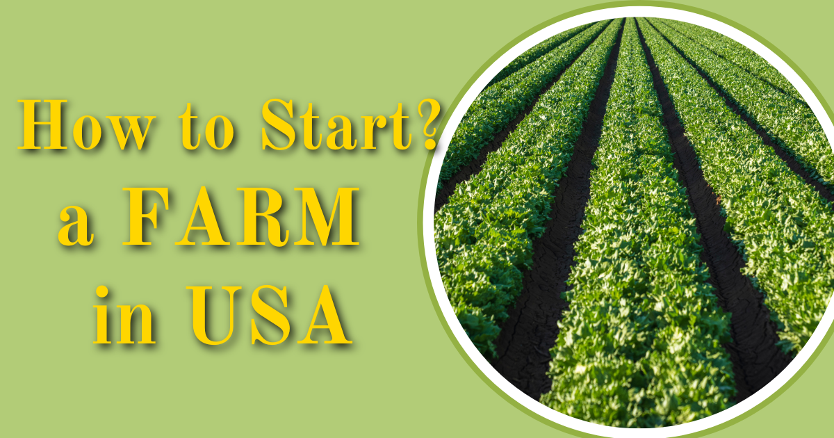How to start a Farm in USA
